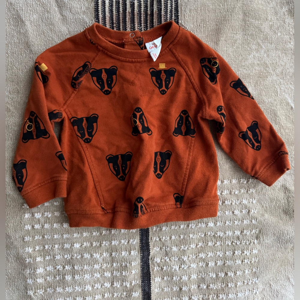 Cat and Jack Badger Sweater, 12 Months